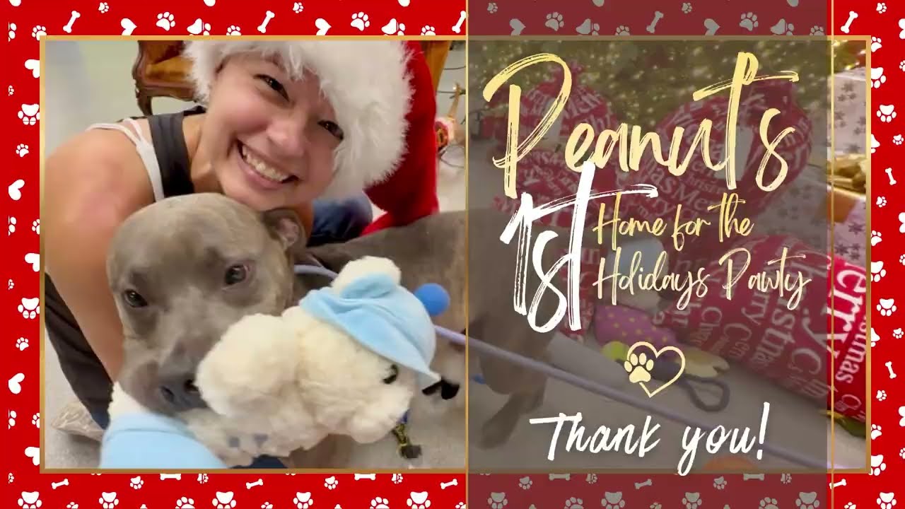 We Asked Guests to Bring Dog Toys Instead of Wine—This Happened