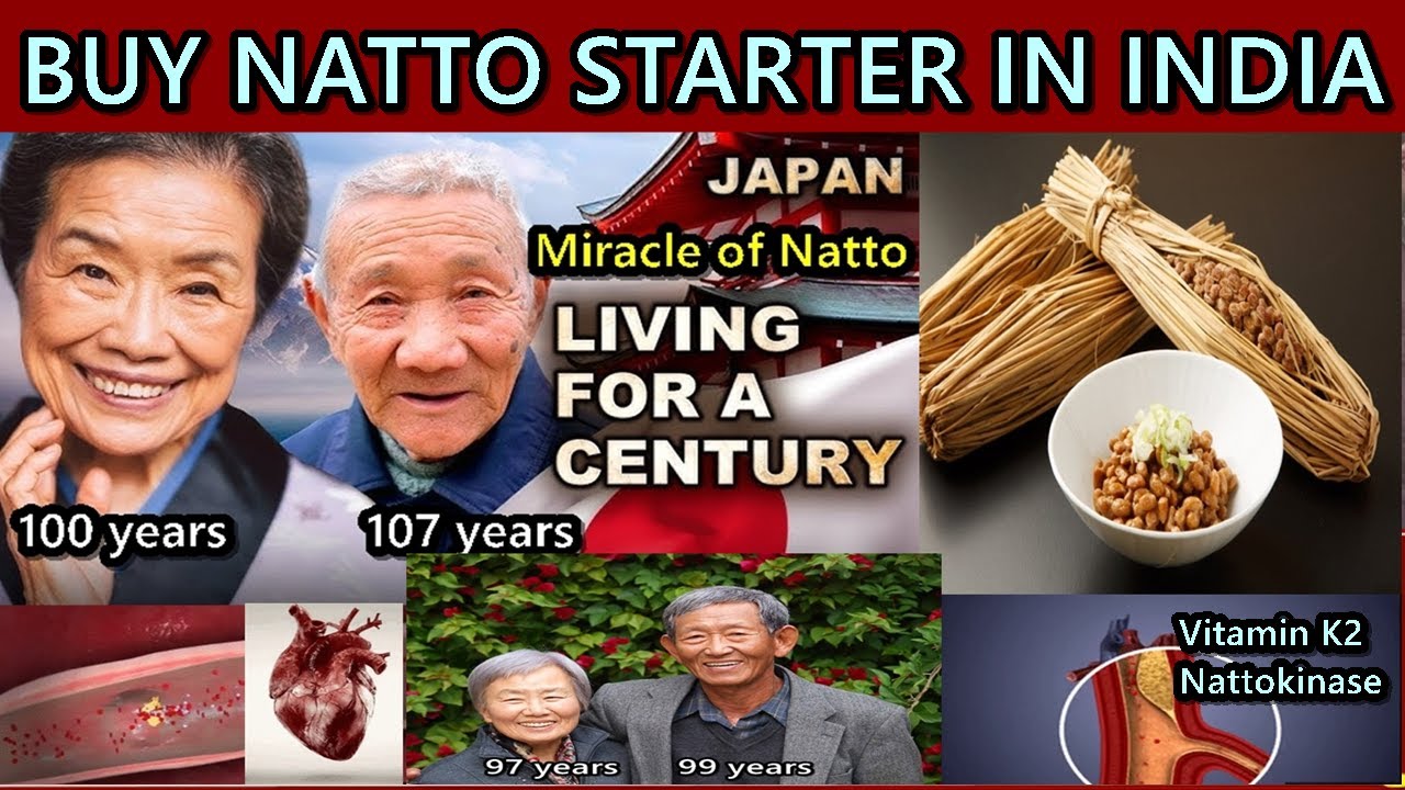 Buy Natto starter culture in india | 100% organic natto starter first time in india