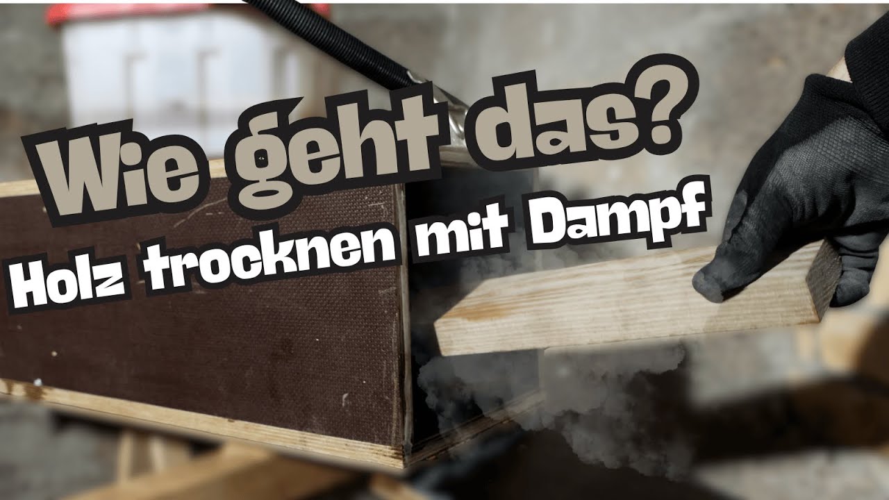 Holz trocknen mit Wasserdampf?! So wird Holz in kurzer Zeit trocken