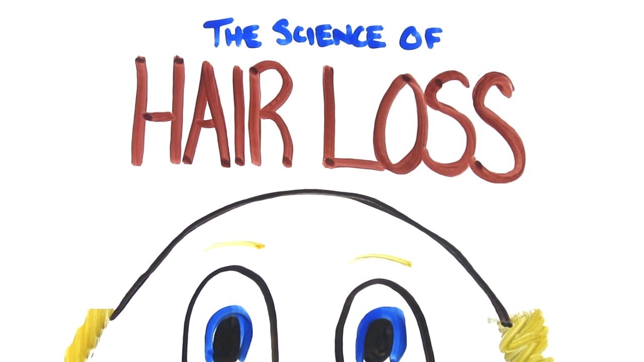 The Science of Hair Loss/Balding