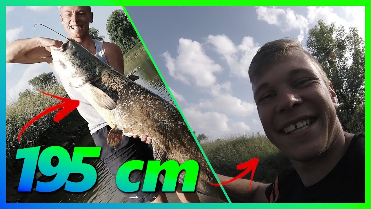 Sumowa wyprawa #3 | Sum 195cm na zrywkę | Wędkarstwo sumowe ll łowienie stacjonarne