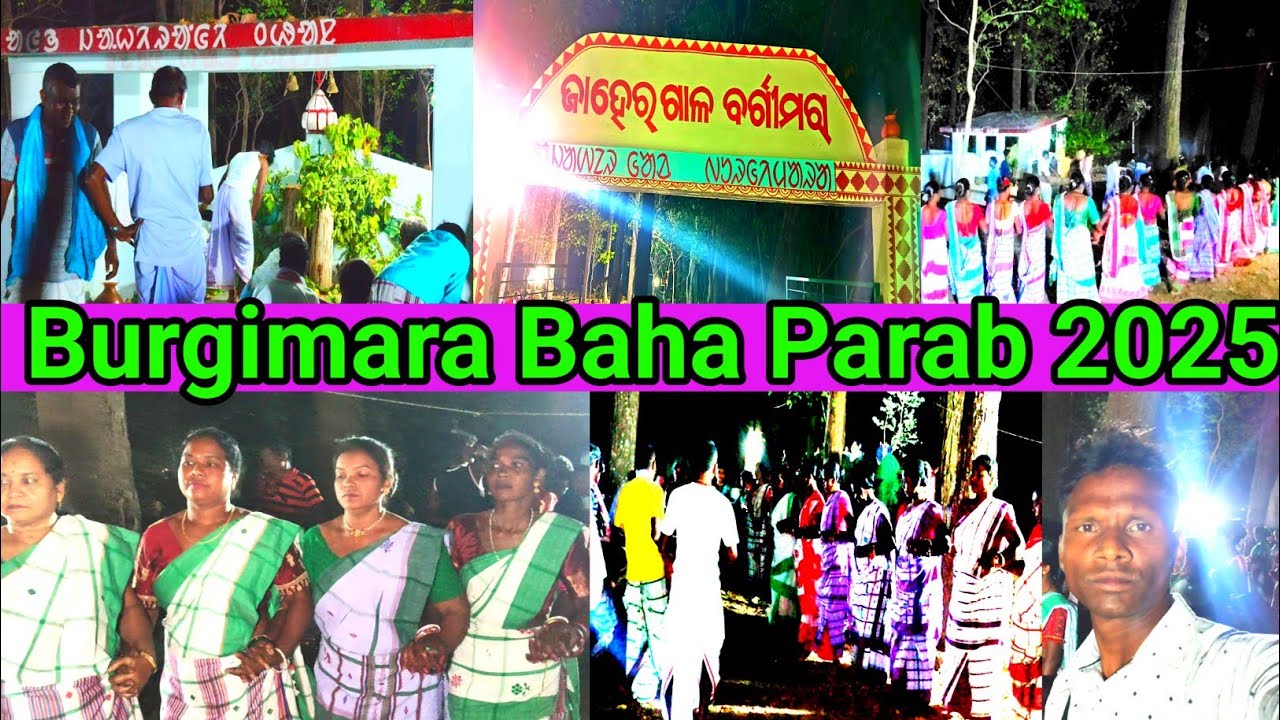 Burgimara Baha Anej 2025 || Mayurbhanj Kusumi block || Sainik Santal Vlog