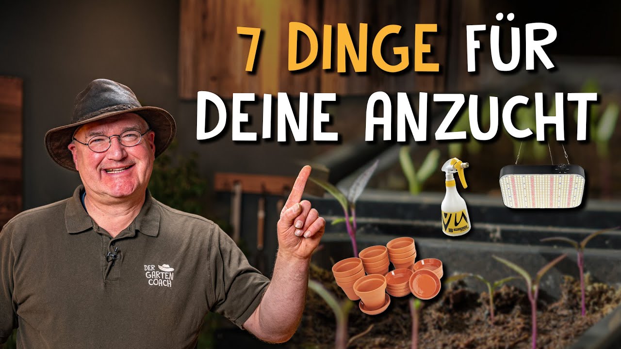 Gem&uuml;se & Salat richtig anbauen 🌱 - Diese Dinge brauchst du f&uuml;r die Anzucht