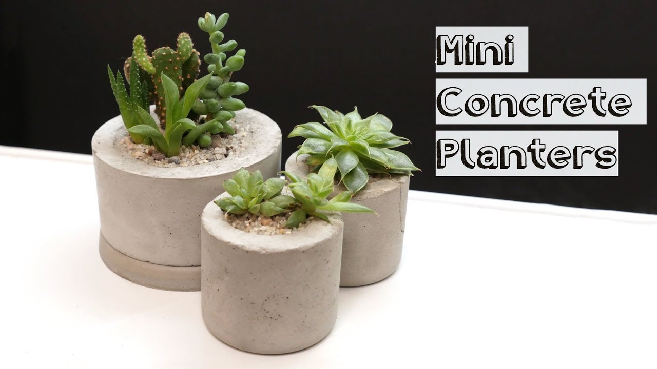 Concrete Mini Planters // Becky Stern