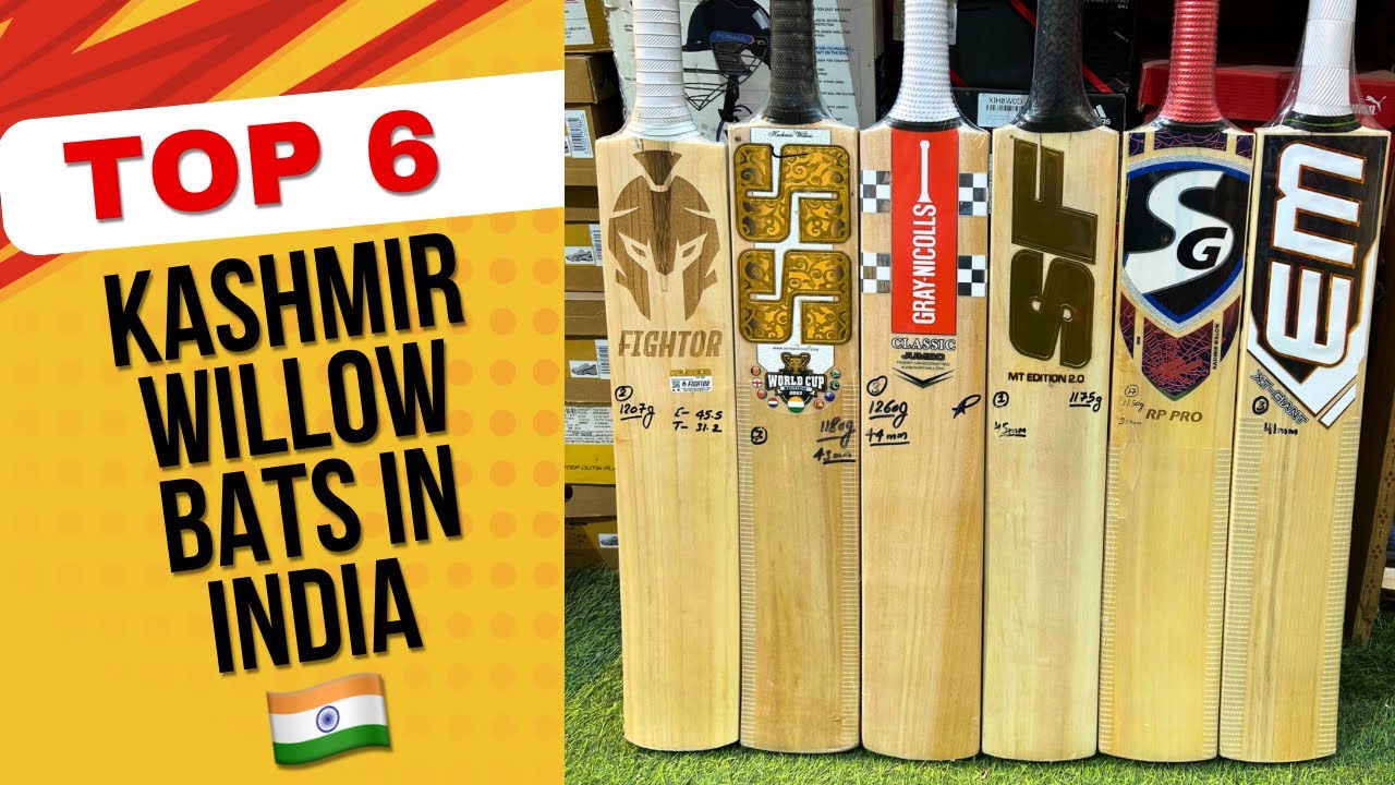 Top 6 Kashmir Willow Bats in India 🇮🇳 | +919667010575/9871341741 | Ai Sports Delhi | #cricket
