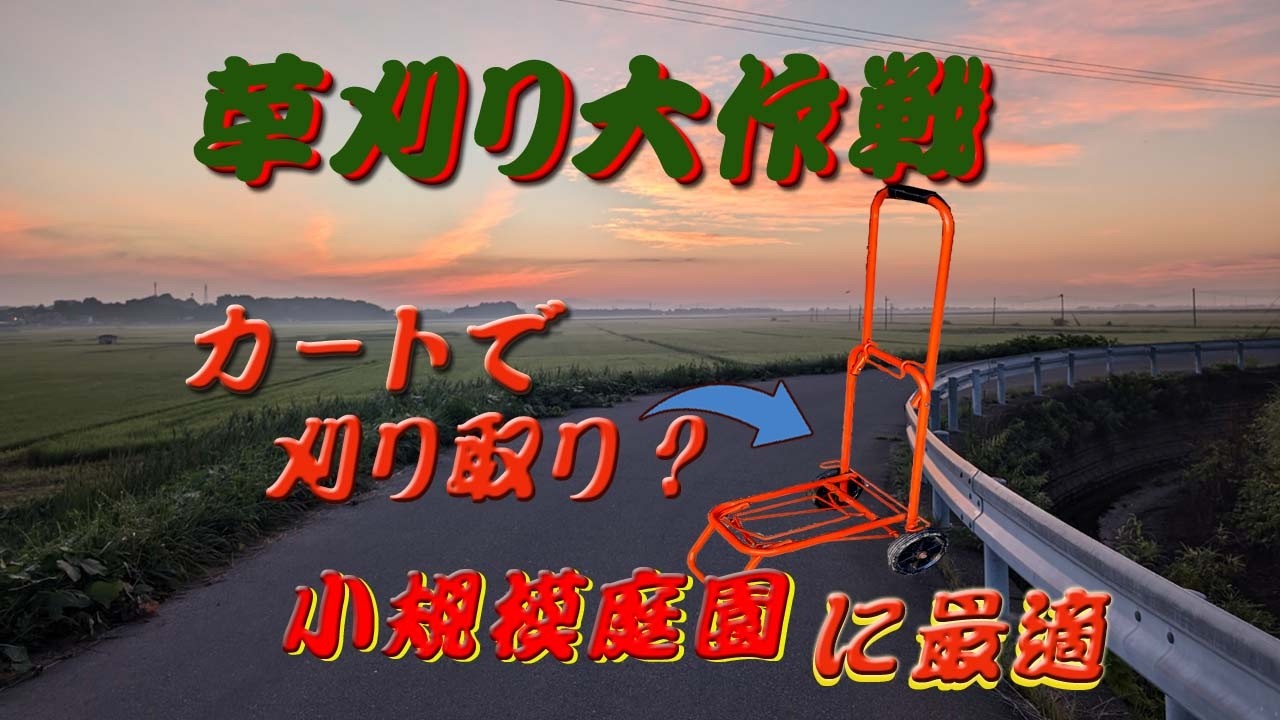 カ－ト結束バンドで、草刈り大作戦
