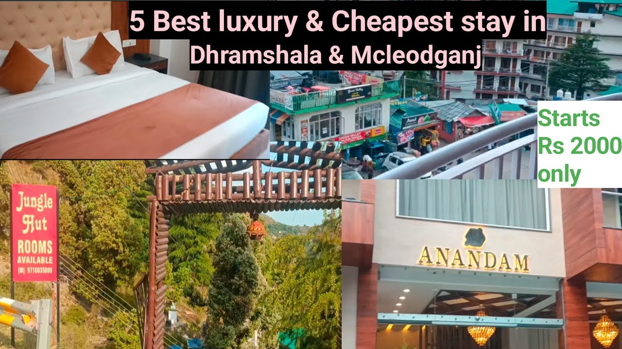 Top 5 best luxury & cheapest stay in dharamshala & mcleodganj | Hotel near Mcleodganj market 😎😊🥰