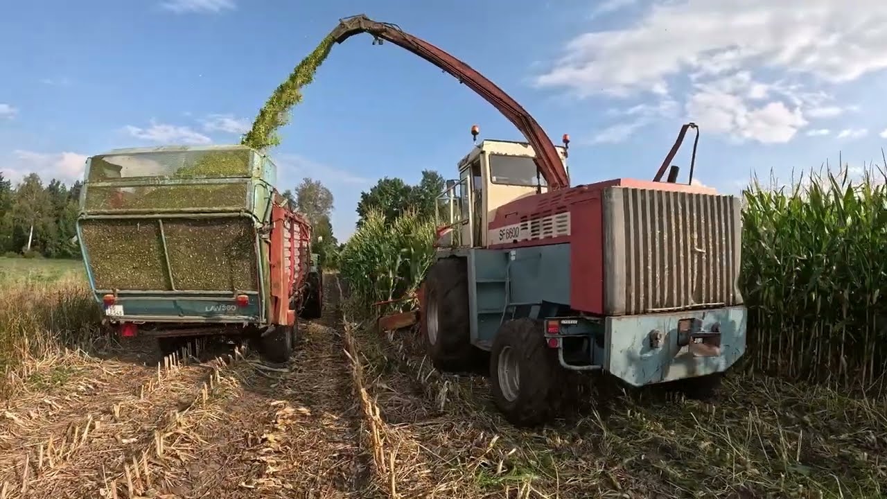 Mein erstes Mal Feldhäcksler fahren |  OldschoolAgrar | Mengele SF 6600 | Claas SF 680 | Maissilage