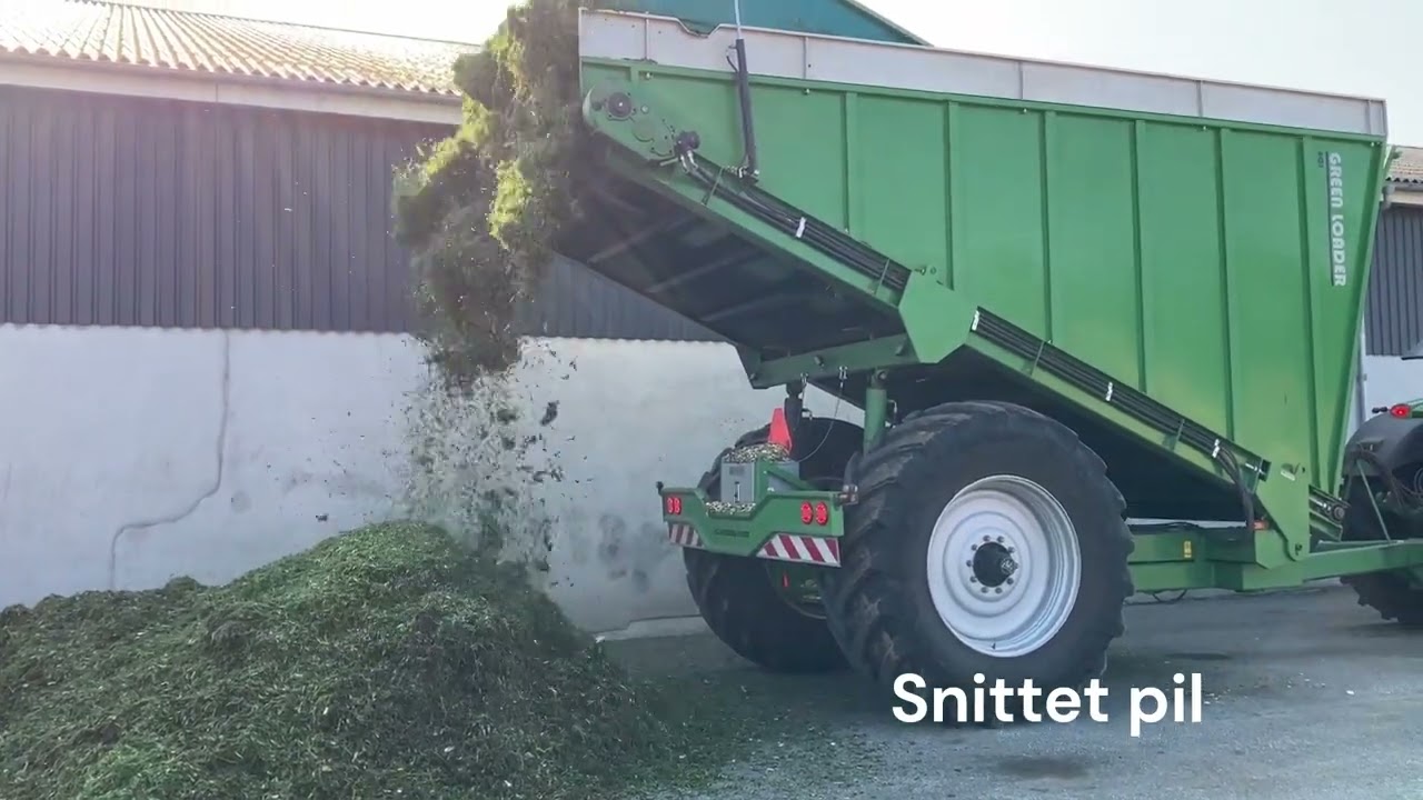 Produktion af pileensilage