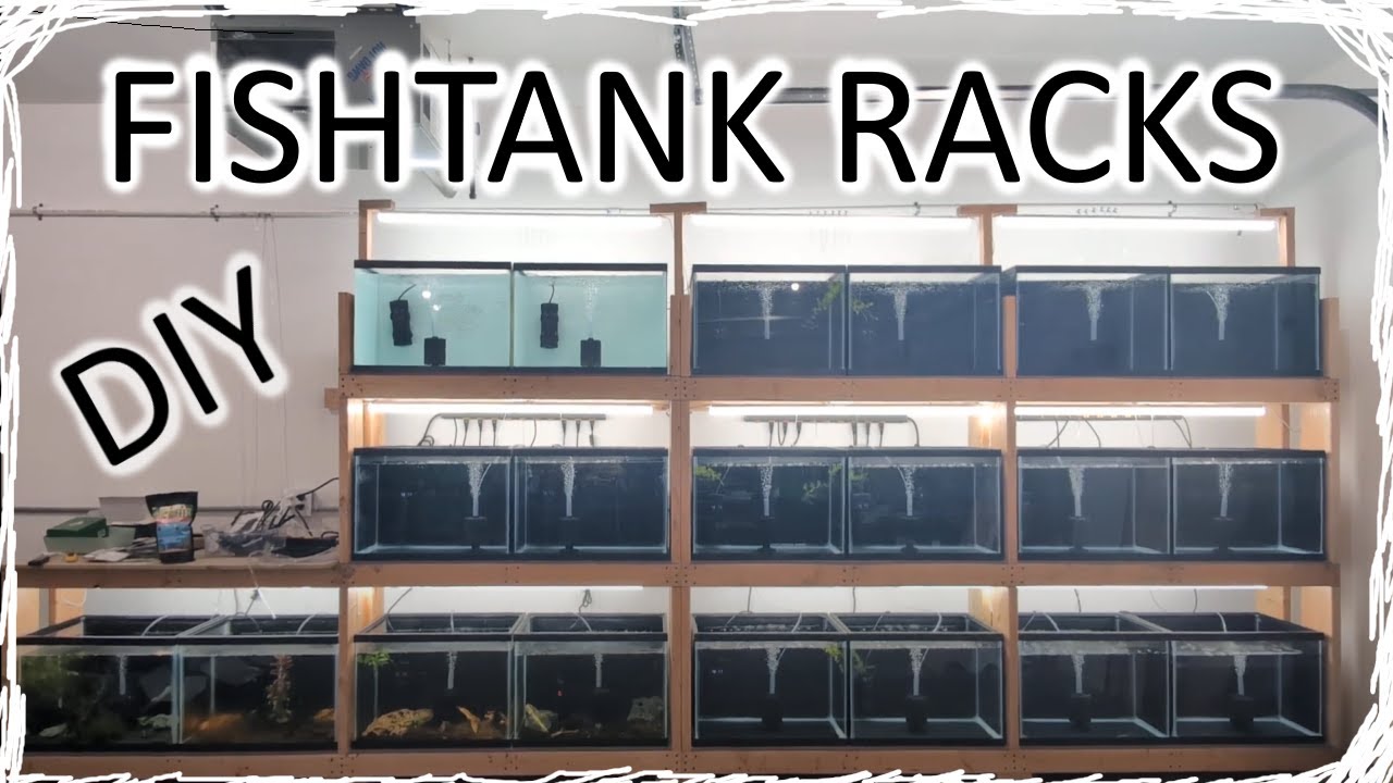 DIY - CUSTOM FISHTANK RACKS - PART TWO - The 20g Wall