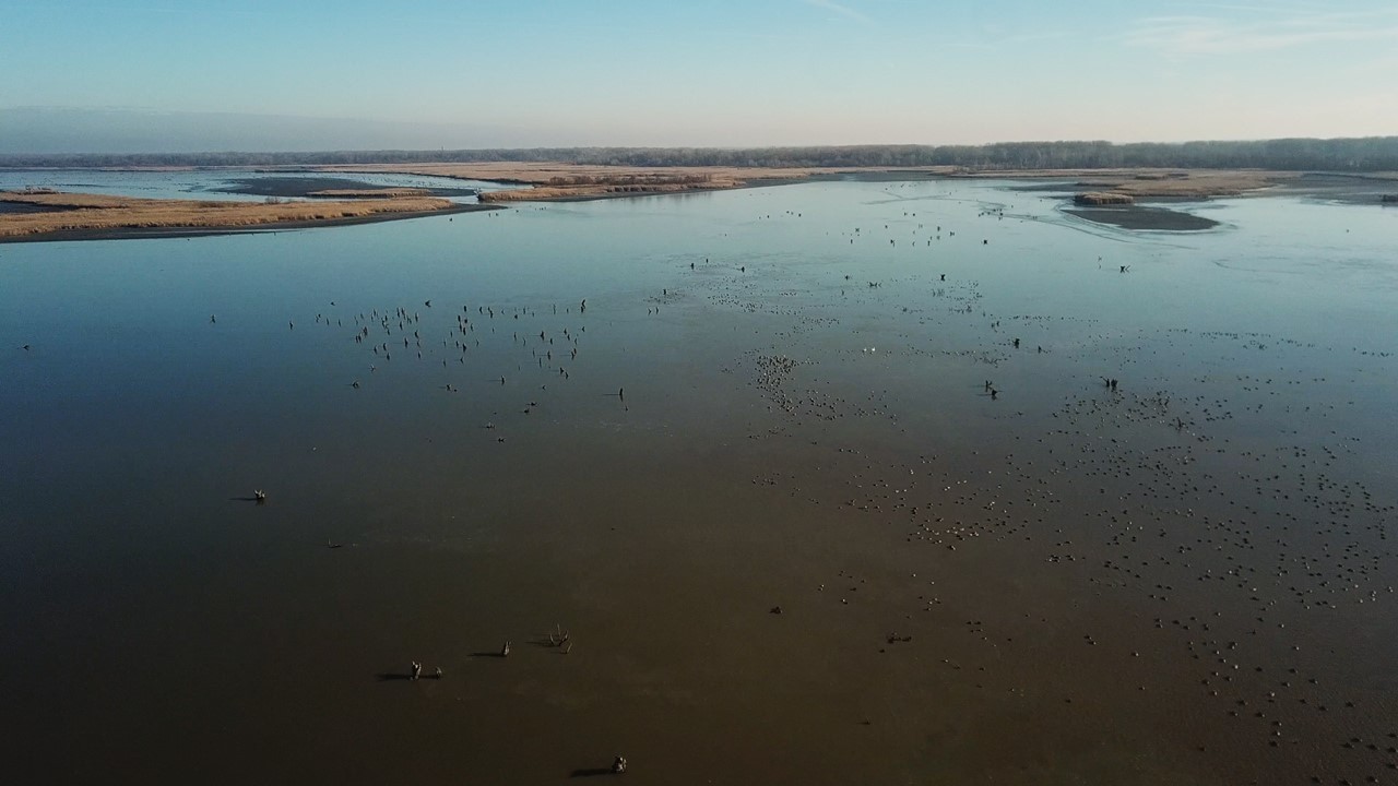 Tisza-tó Tuskótérkép 2025 Poroszlói-medence