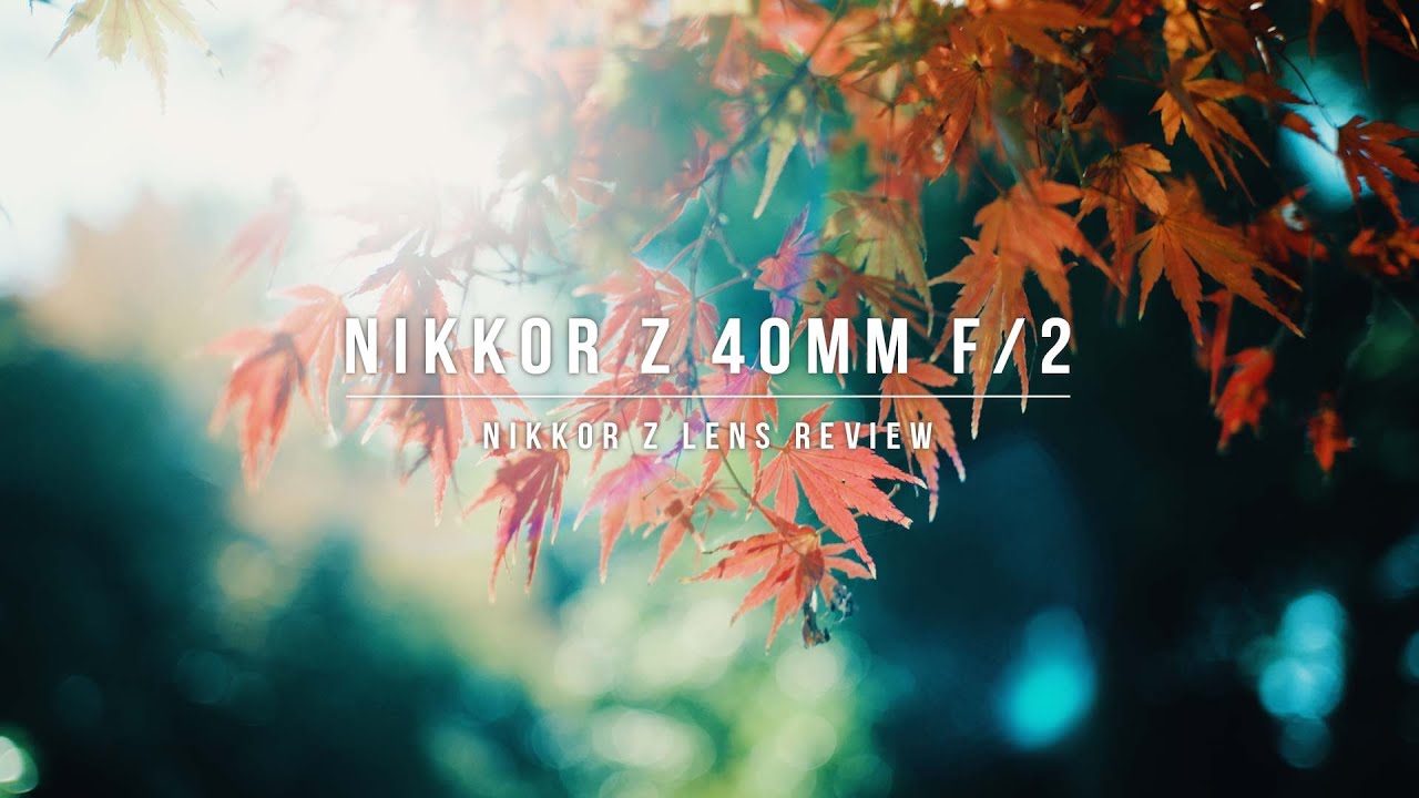 オールドレンズのような描写。NIKKOR Z 40mm f/2レビュー | NOSTALTONEとの組み合わせ