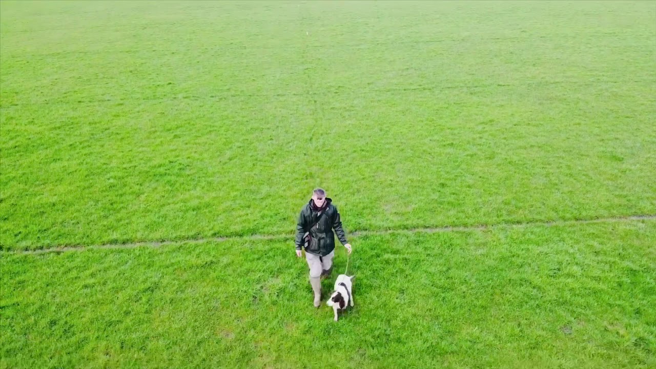 Gundog Training - Blind Retrieves