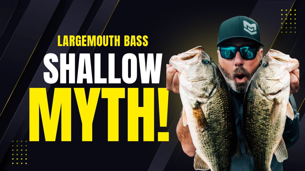 Why Shallow Bass Are Easier Than You Think - Dave Mercer's Facts of Fishing THE SHOW Season 18 EP#5