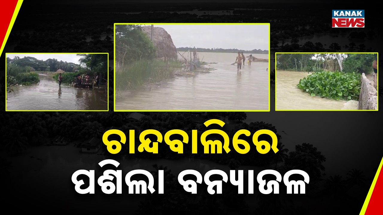 Chandbali Flood Update | Floodwater Enters Bhadrak, Administration Issues Alert
