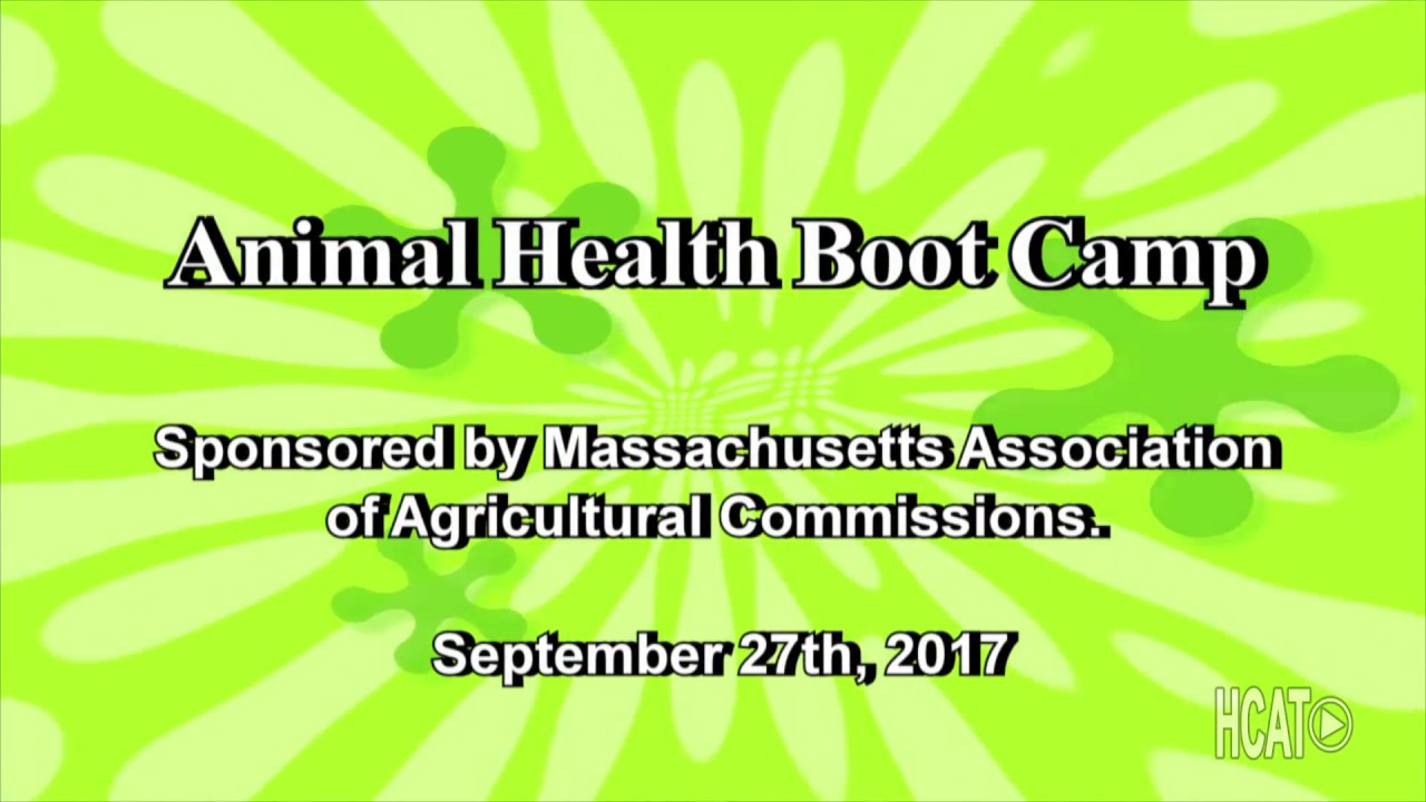 Animal Health Boot Camp