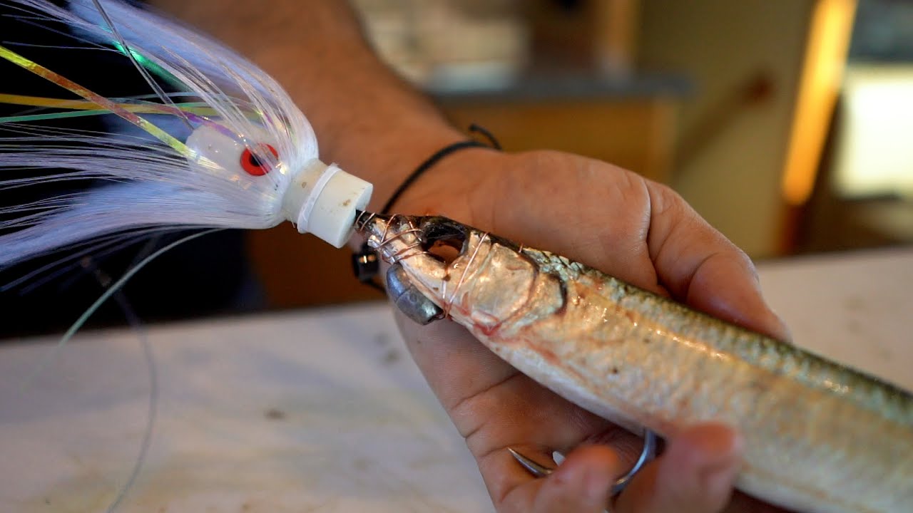 How to Rig a Ballyhoo with a Chin Weight | Wolfpack Tackle