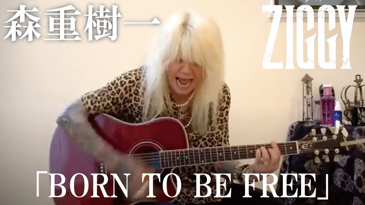 森重樹一弾き語り「BORN TO BE FREE」