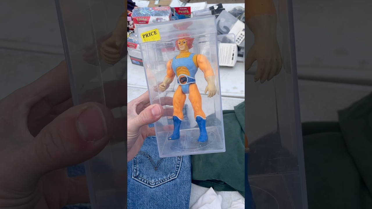 Are Vintage Thundercats worth picking up? #fleamarketfinds #resellertips #thundercats