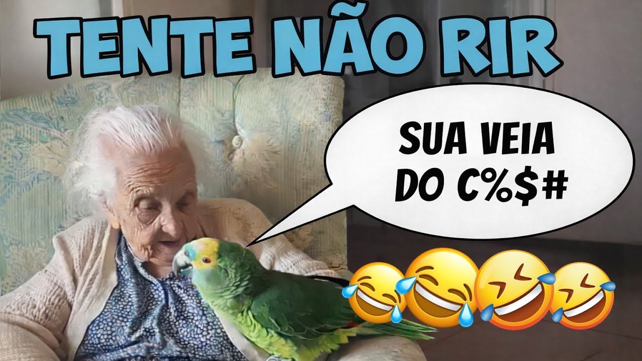 Tente Não Rir: O Papagaio Mais Engraçado Da Internet #2 🤣🤣🤣