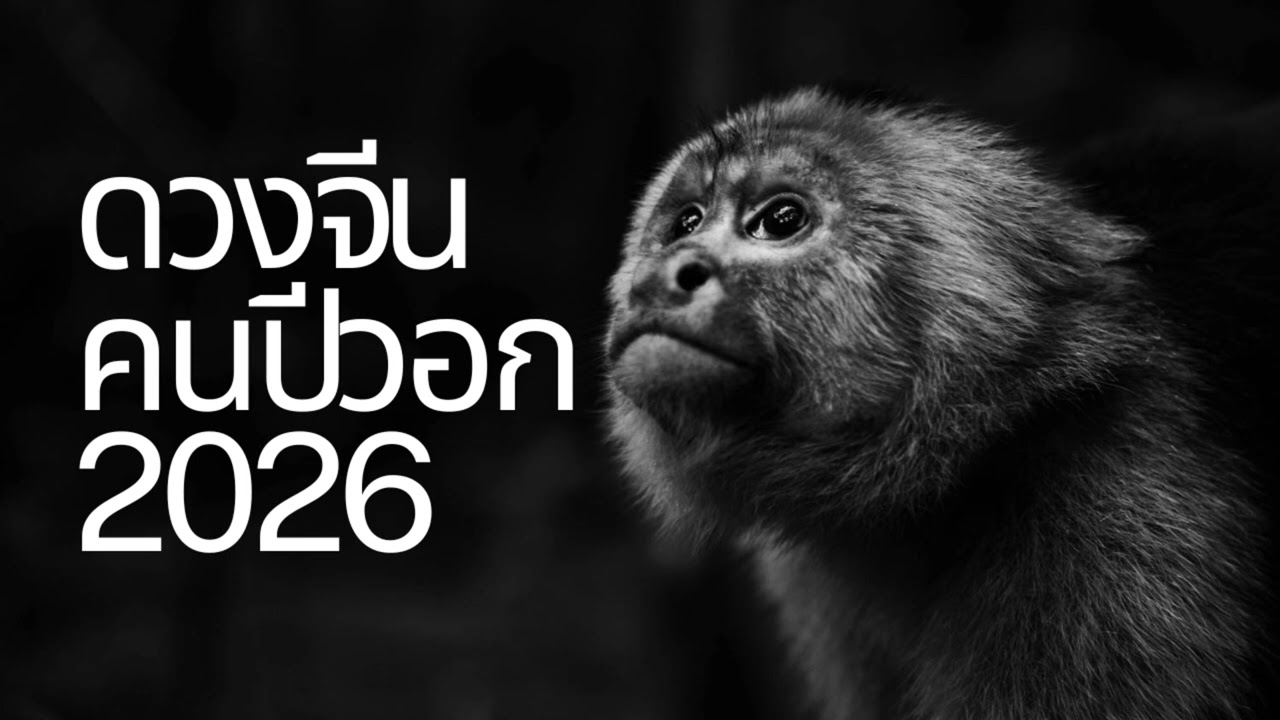 ดวงจีนปี 2026: วอก