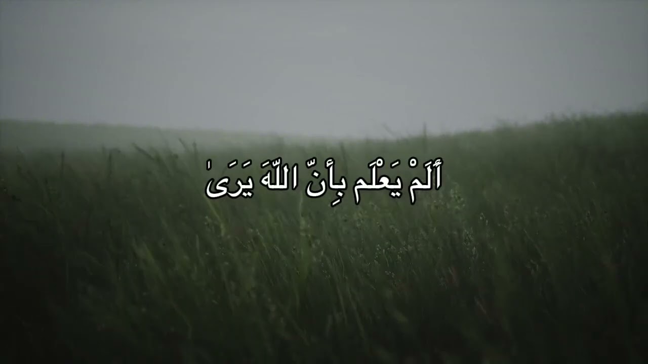 【كَلَّا إِنَّ الْإِنسَانَ لَيَطْغَىٰ】محمد صديق المنشاوي #قرآن #محمد_صديق_المنشاوي #المنشاوي 