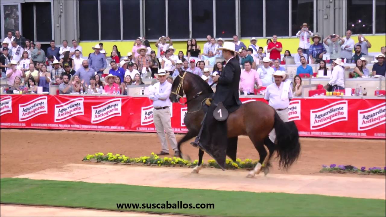 Prodigio De Mar&iacute;a Rosa F.C, 58a Expo Internacional Equina Feria de Flores 2016