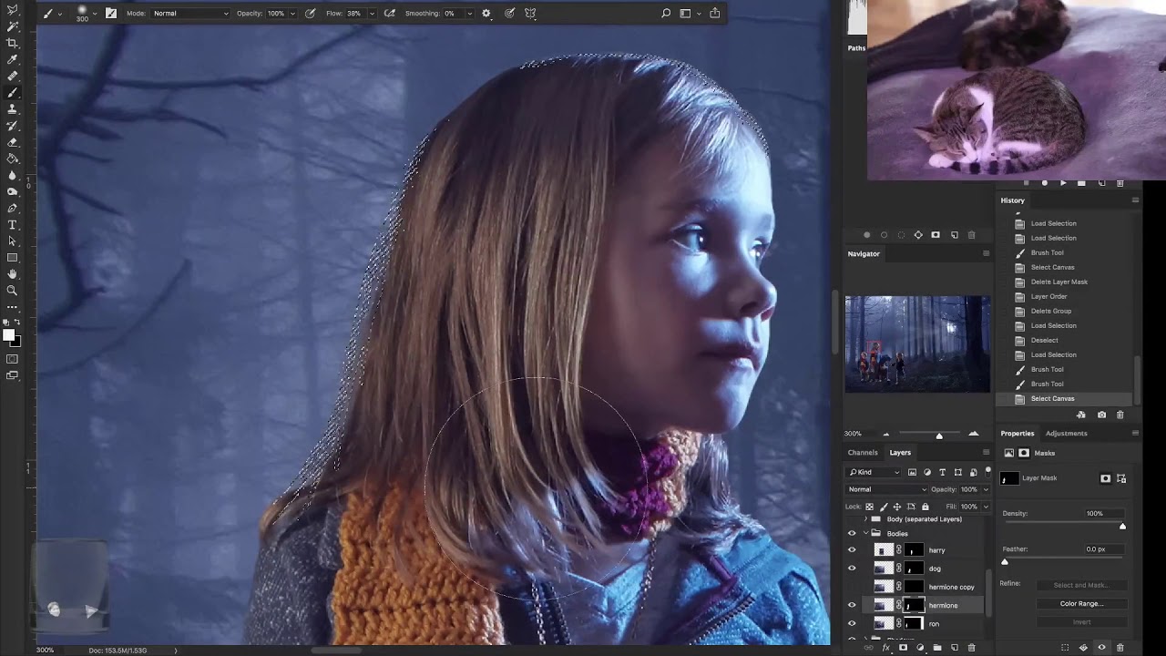 Advanced Photoshop Time Lapse *Harry Potter in the Forbidden Forest*