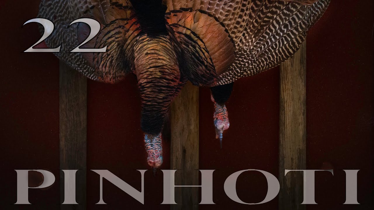 SOUTH GEORGIA GOBBLERS | FLAT LAND LONGBEARDS that were DOING IT RIGHT | SOUTHERN TURKEYS- Pinhoti