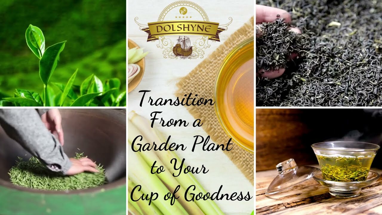 Online Tea Shop That Really Delivers