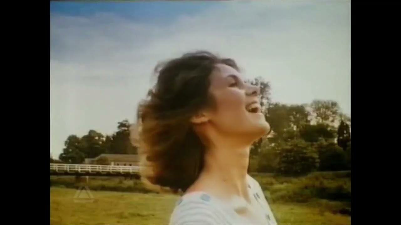 Birds Eye Menu Master UK TV Advert - Saturday 27th July 1985