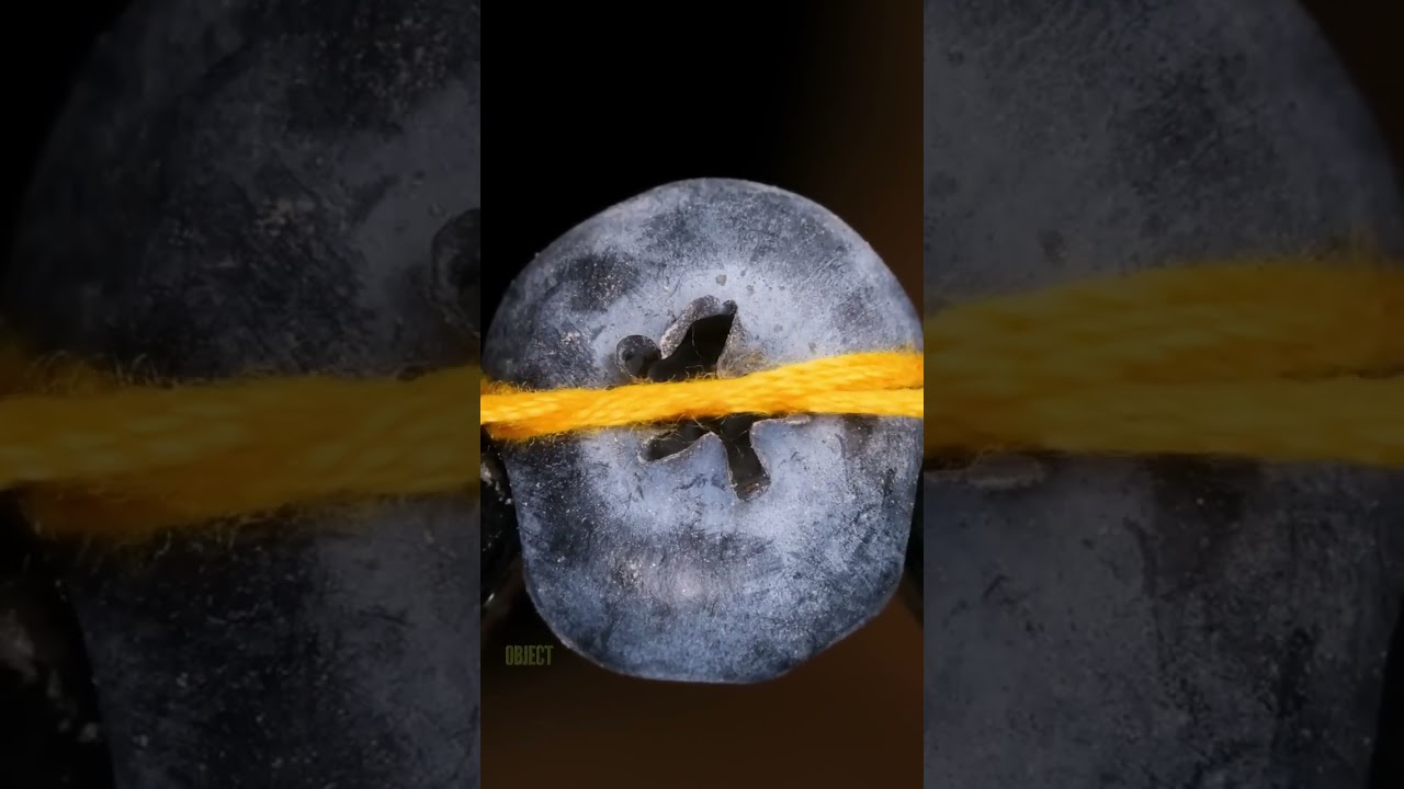 Cutting a blueberry with a string