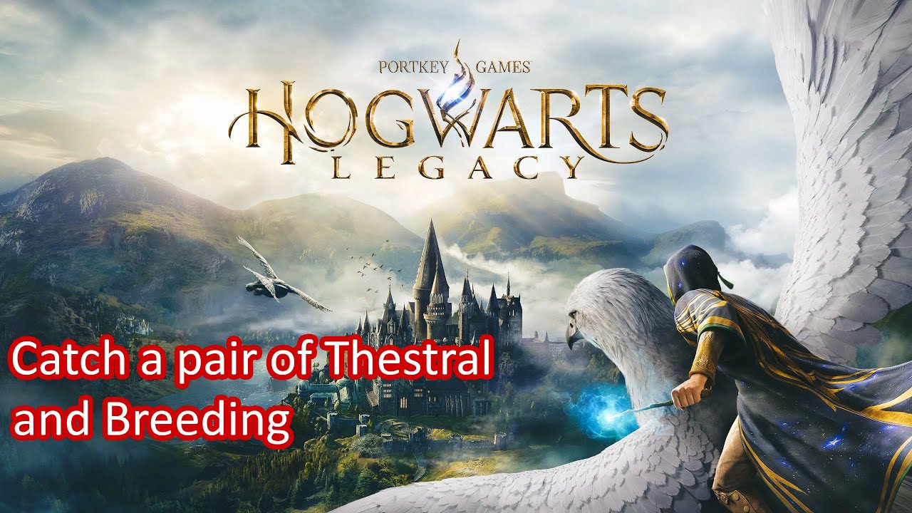 Hogwarts Legacy - Catch a pair of Thestral and Breeding in Your Vivarium