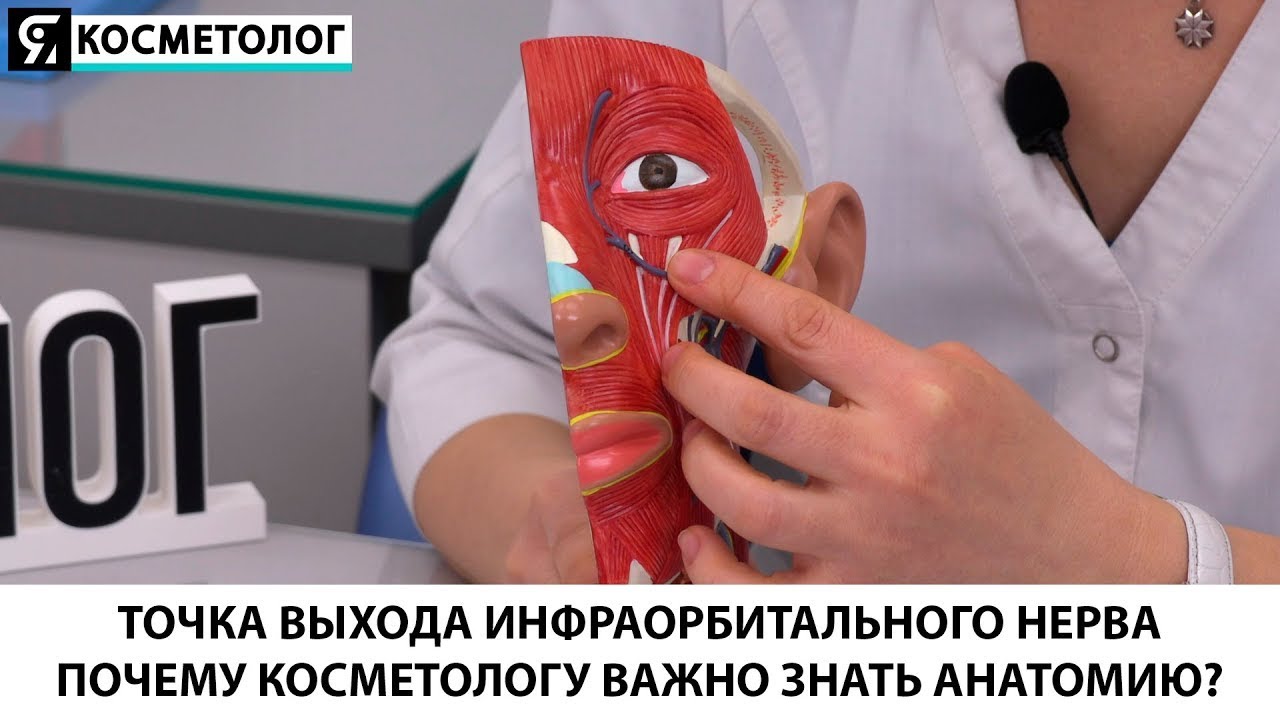 Точка выхода инфраорбитального нерва - почему косметологу важно знать анатомию?
