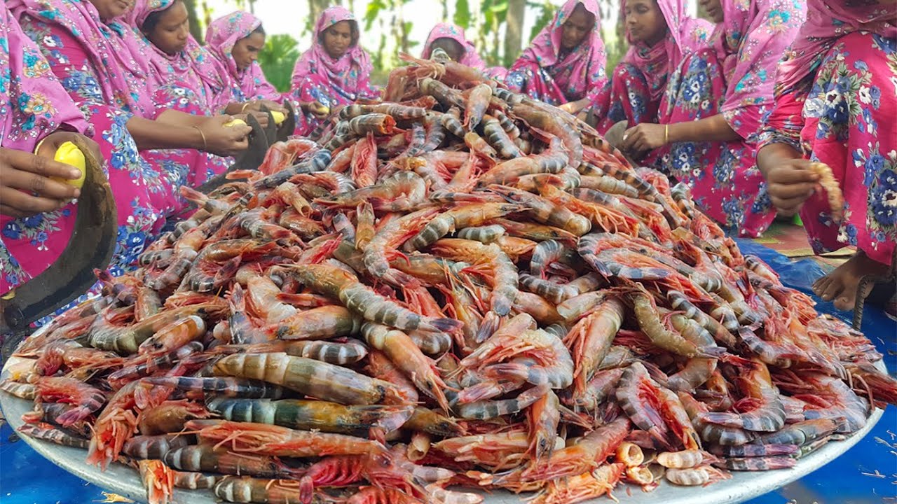 Tiger Shrimp Potato Cooking Like Meat & Taste Better Than Anything - Tiger Prawns Curry Recipe