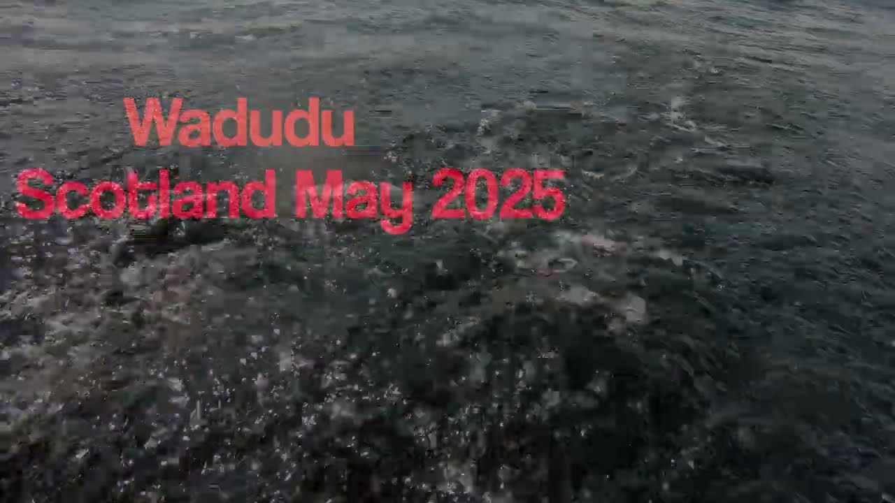 Wadudu. First sail in Scotland 2025. Cape Cutter 19
