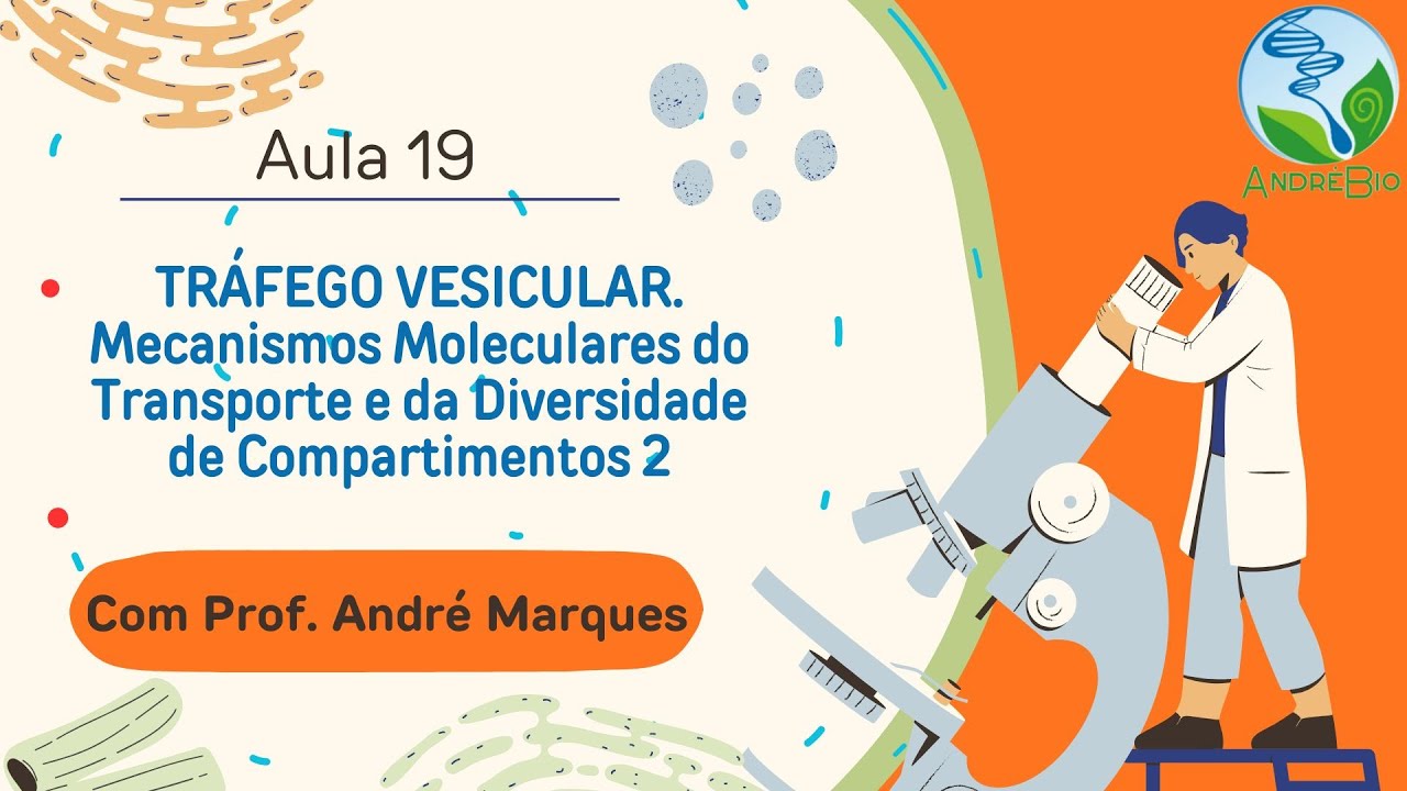AULA 19 : TRÁFEGO VESICULAR.  Mecanismos Moleculares do Transporte e Diversidade de Compartimentos 2
