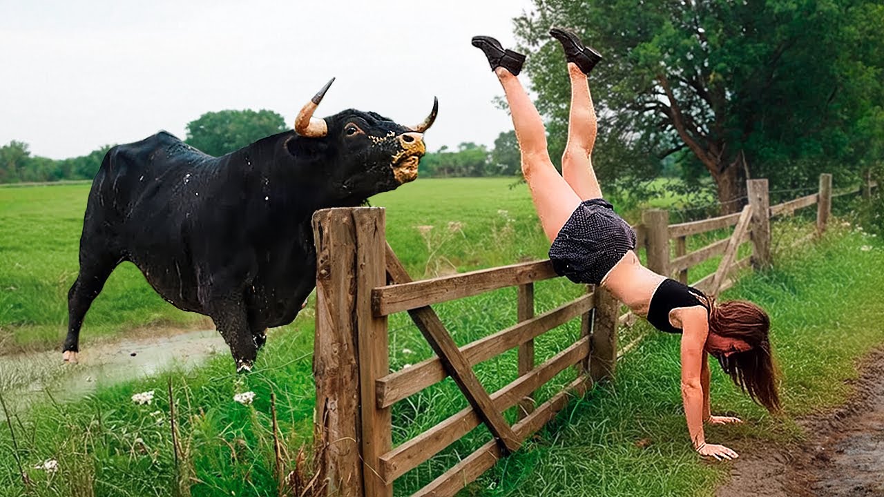 Meilleurs Fails de la Vie À la Ferme 🚜🐄  Fails d'Animaux de Ferme Et de Tracteurs