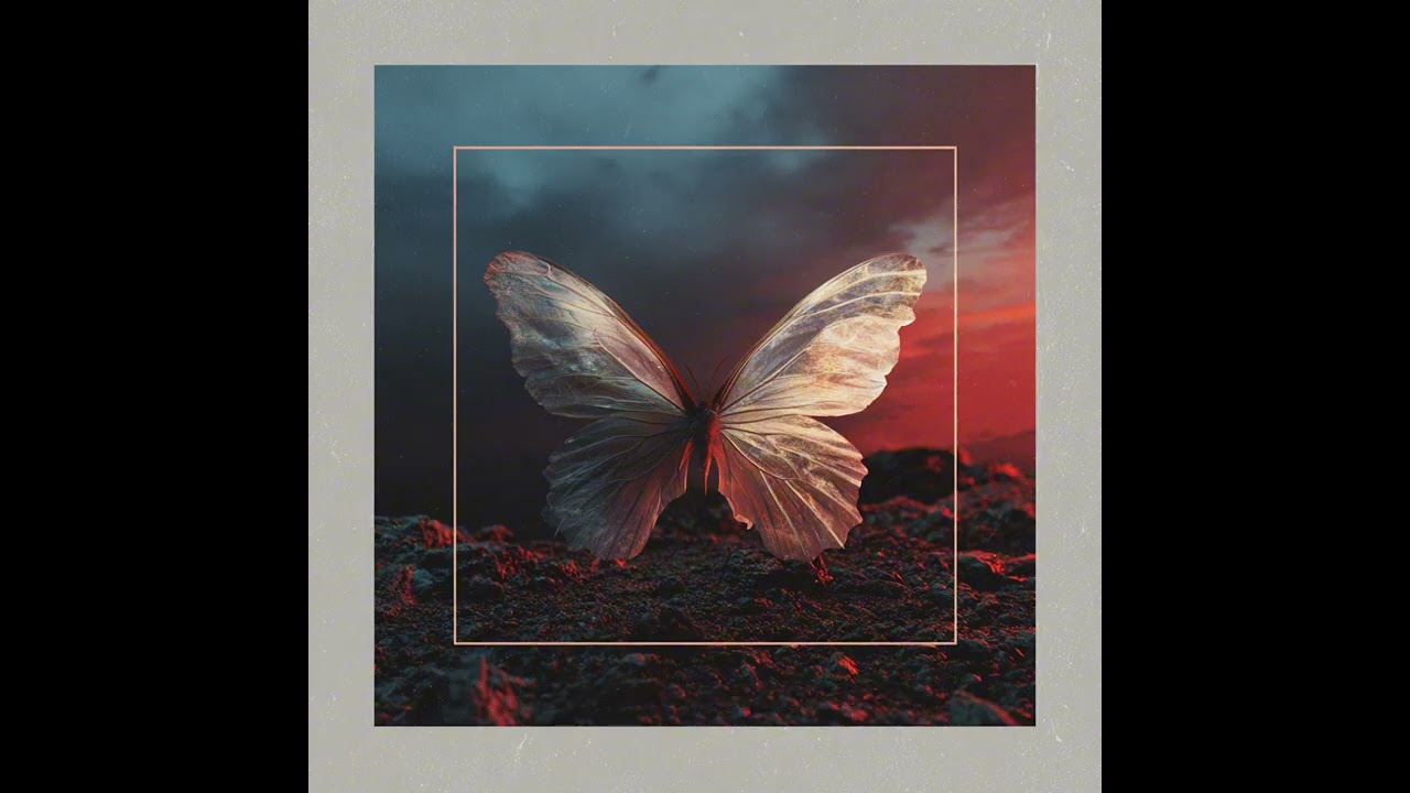 Glass Wings | Offcial Audio