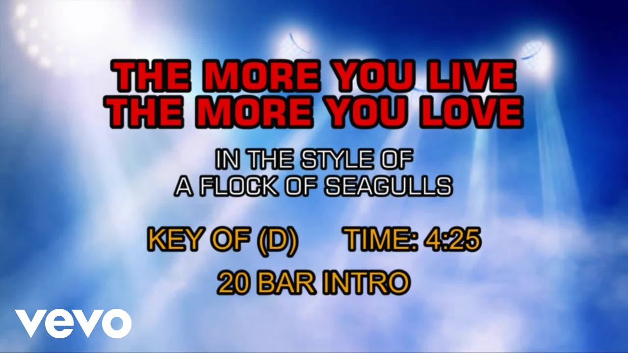 A Flock Of Seagulls - The More You Live The More You Love (Karaoke)
