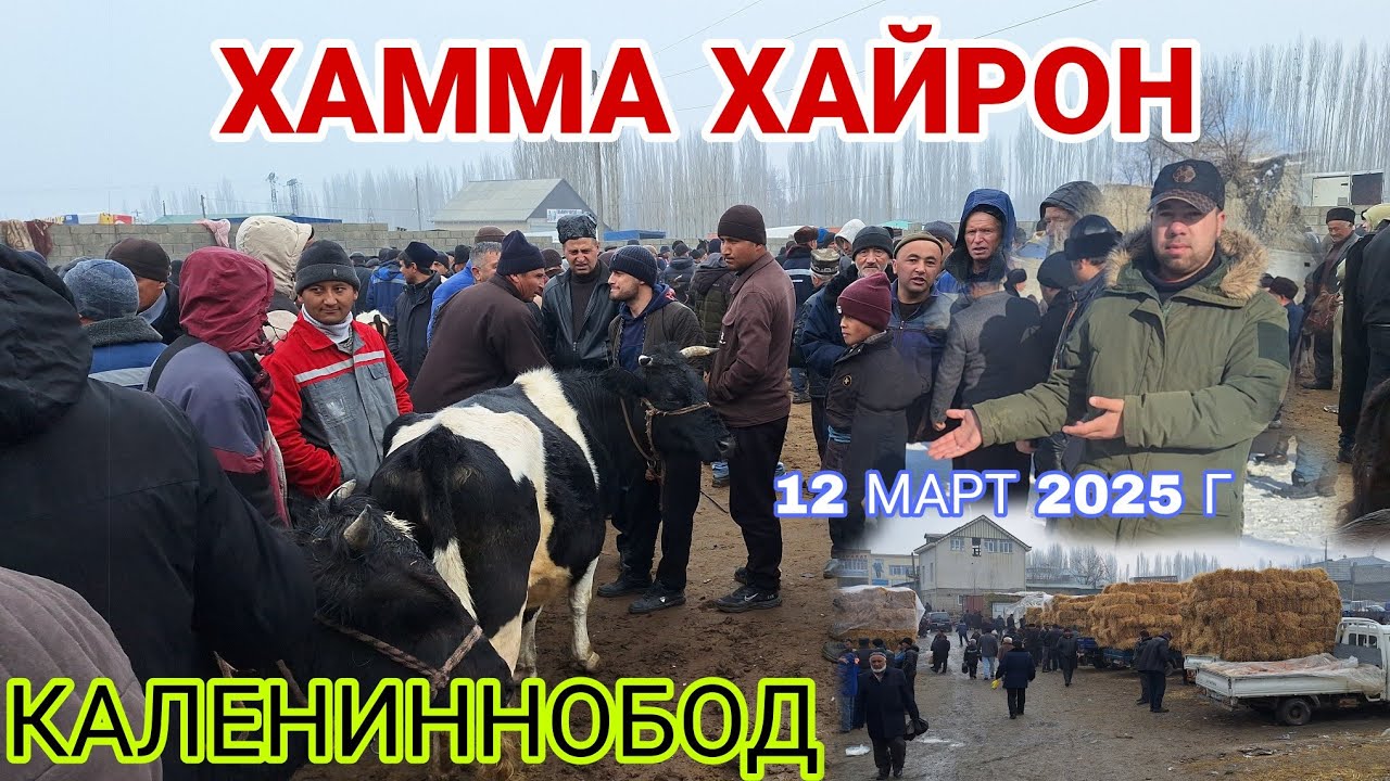 КАЛЕНИННОБОД! Тамошо кунетон савдо зур шуд...#rek #khujand #rekomendasi