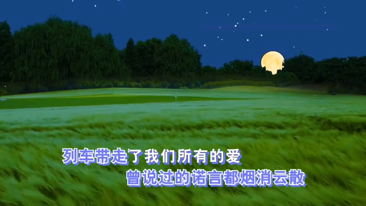 我差点死在和你分手的夜晚 (海生完整版)。整个世界突然就塌了下来