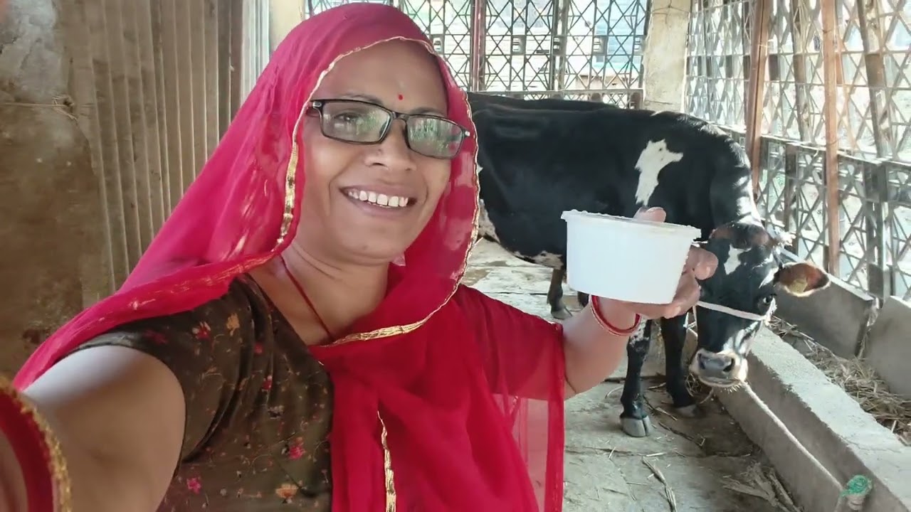 आज को ब्लॉक शुरू करियो है गौ माता सांवरिया रो रूप 
