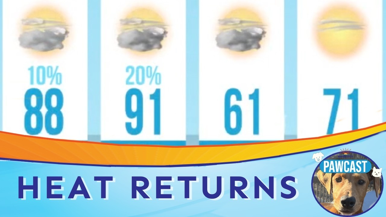 San Antonio Weather: Chilly Morning, 80s Today | PAWCAST