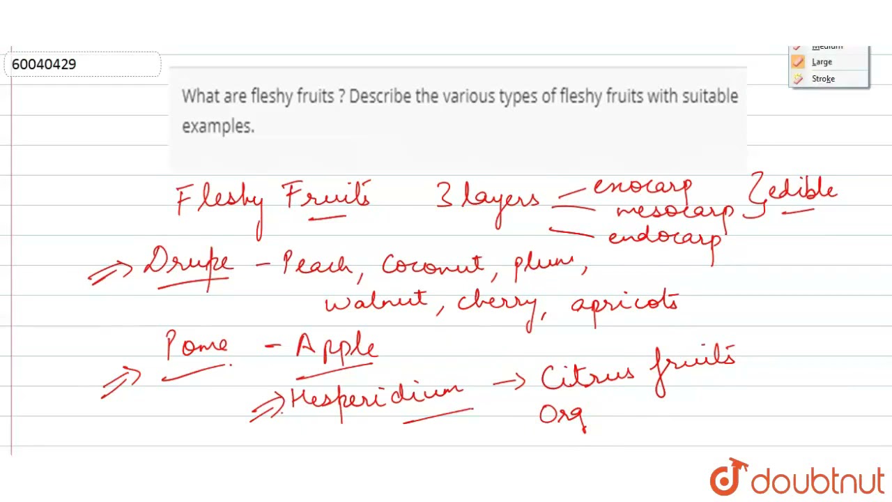 What are fleshy fruits ? Describe the various types of fleshy fruits with suitable examples.  | ...