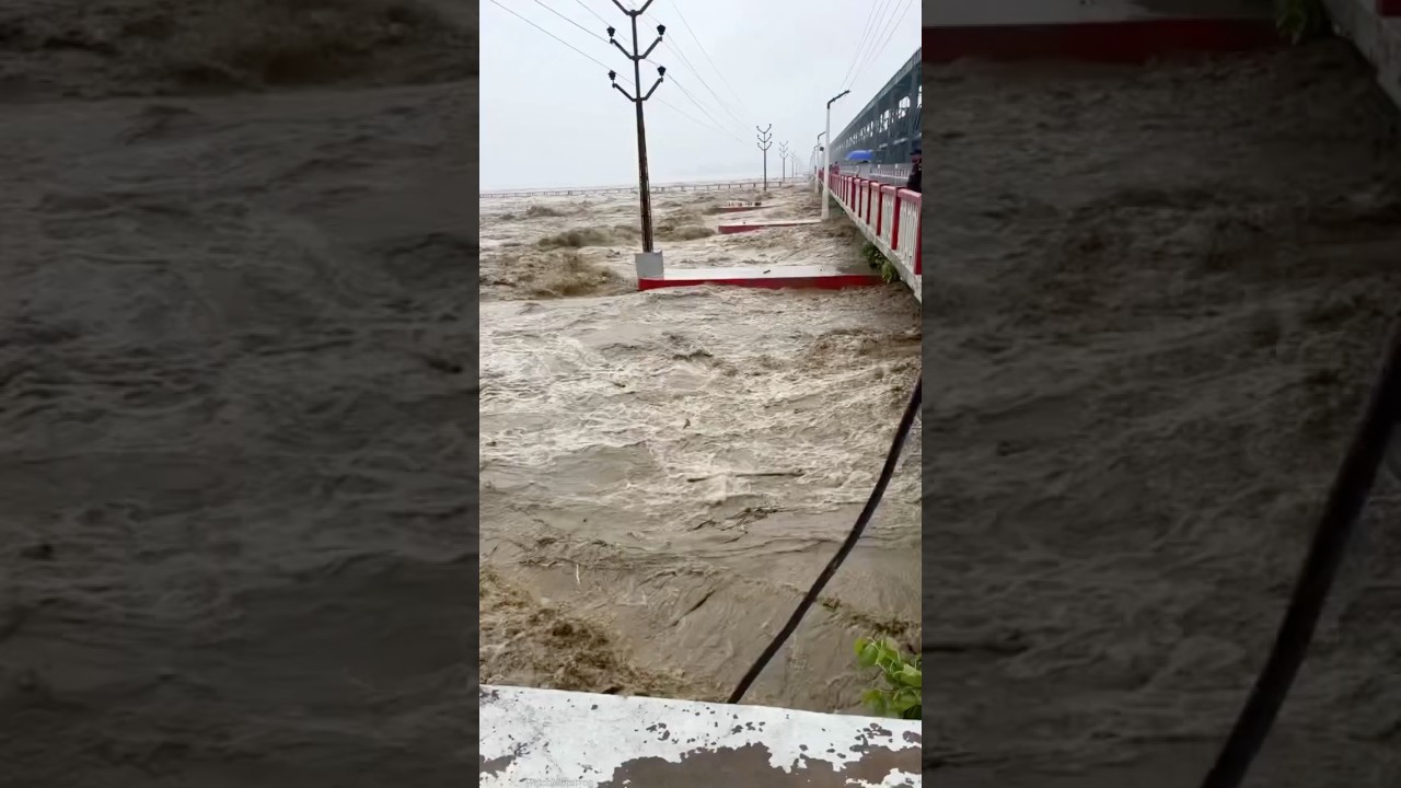 Why Kosi Barrage Couldn't Stop Bihar's Floods? #youtubeshorts #trendingshorts #shortvideo