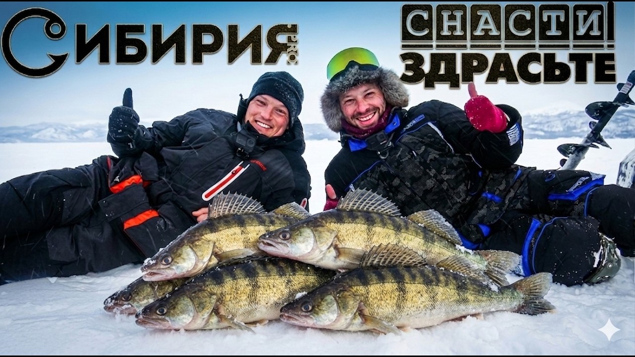 ВЫРЫВАЕТ УДОЧКУ ИЗ РУК! СНАСТИ ЗДРАСТИ и СИБИРИЯ ловят КАМСКОГО СУДАКА 3 дня! Камское устье
