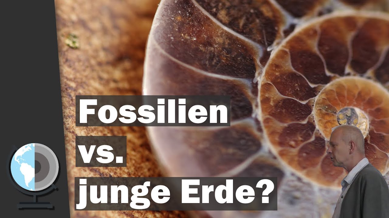 Fossilien vs. Junge Erde? Erdgeschichte im Zeitraffer | Rehe 2023 | Dr. S. Drüeke