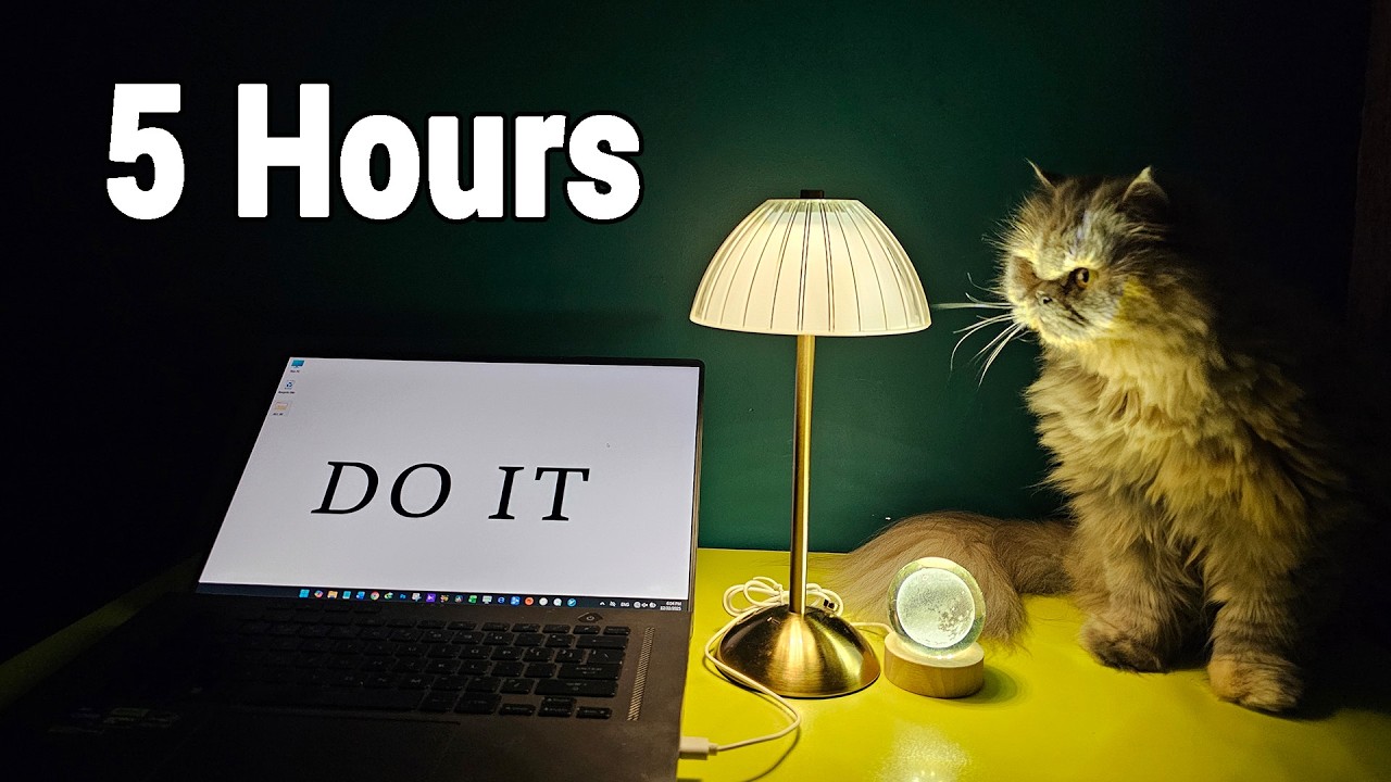Work With Me | 5 Hours Deep Work (4×50/10) | Rain Sounds + Cat Breaks 🐾