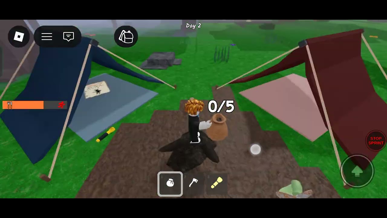 Playing roblox 99 days in forest